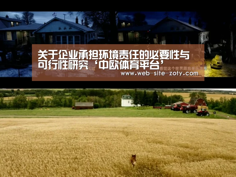 关于企业承担环境责任的必要性与可行性研究‘中欧体育平台’(图2) 中欧体育官网