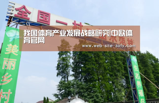 我国体育产业发展战略研究|中欧体育官网